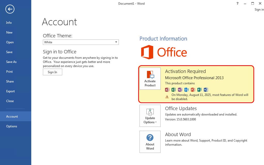 Download Microsoft Office 2013 on Windows 7 (8)