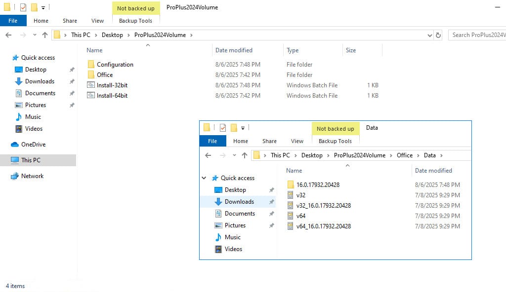 Download and install Microsoft Office (Offline) (6)