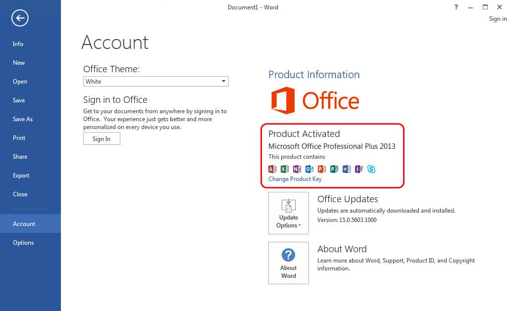 Activate Microsoft Office 2013 (4)